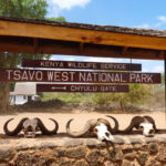 Tsavo National Park