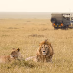 Masai Mara