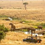 Lewa Conservancy