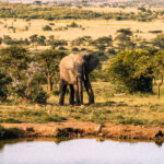 Naibosho Conservancy